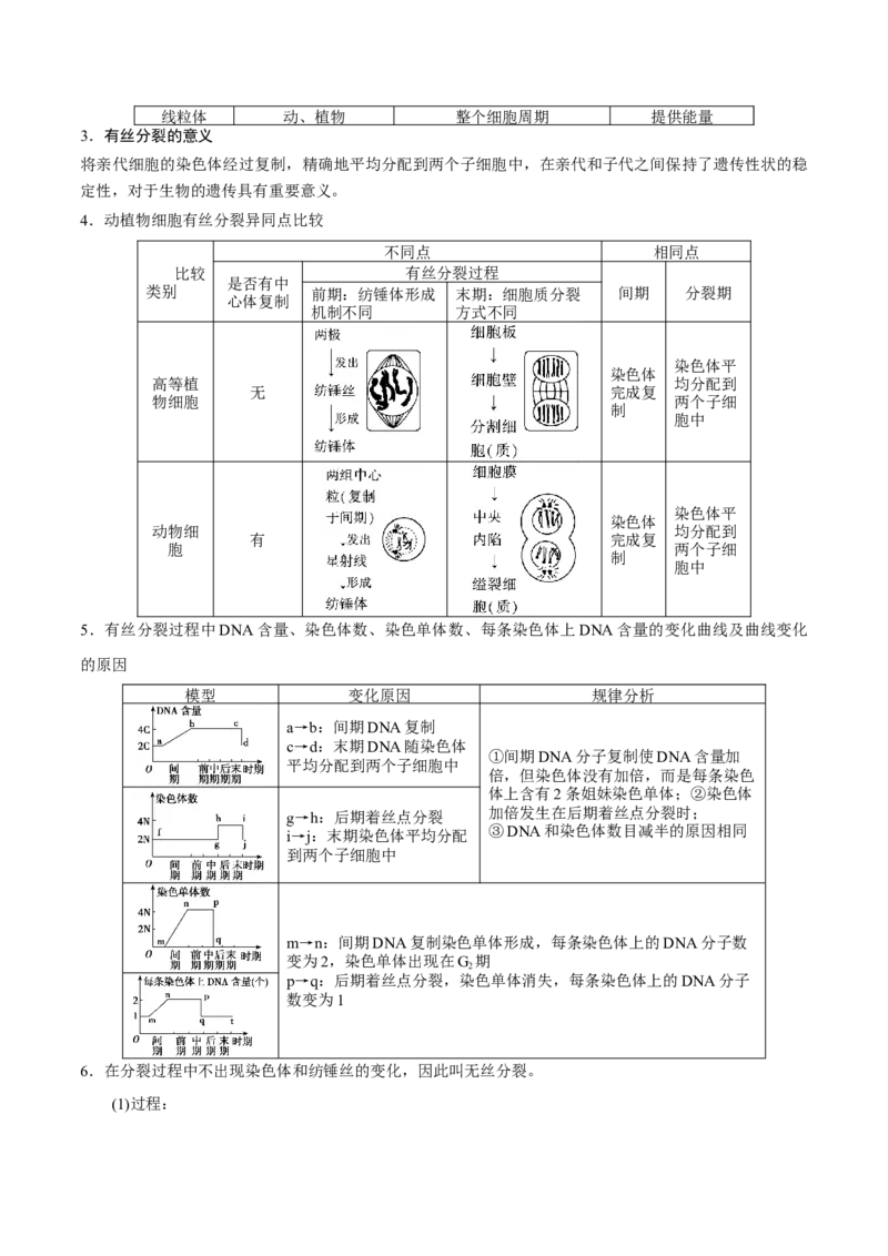 GKSW150_第10讲细胞的增殖-备战2022年高考生物一轮复习精品讲义（人教版）(解析版)_新高考复习资料_2022年新高考复习资料_备战2022新高考生物一轮复习精品讲义（人教版）