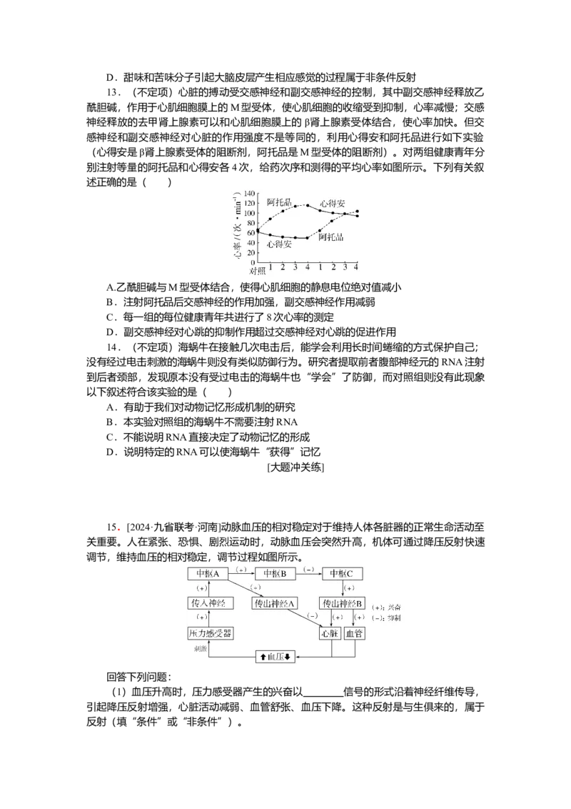 2025届高中生物学一轮复习检测案28　神经调节（含解析）_2025年新高考资料_一轮复习_2025届高中生物学一轮复习分层复习检测(含解析)
