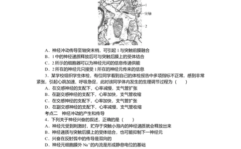 2025届高中生物学一轮复习检测案28　神经调节（含解析）_2025年新高考资料_一轮复习_2025届高中生物学一轮复习分层复习检测(含解析)
