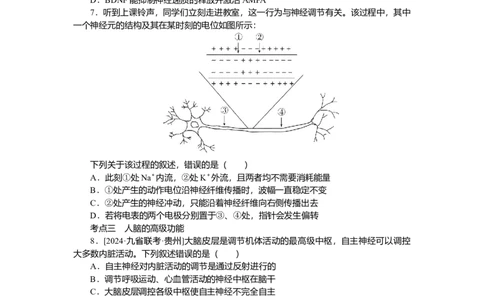 2025届高中生物学一轮复习检测案28　神经调节（含解析）_2025年新高考资料_一轮复习_2025届高中生物学一轮复习分层复习检测(含解析)