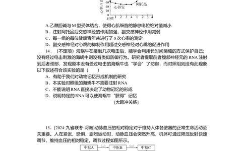 2025届高中生物学一轮复习检测案28　神经调节（含解析）_2025年新高考资料_一轮复习_2025届高中生物学一轮复习分层复习检测(含解析)