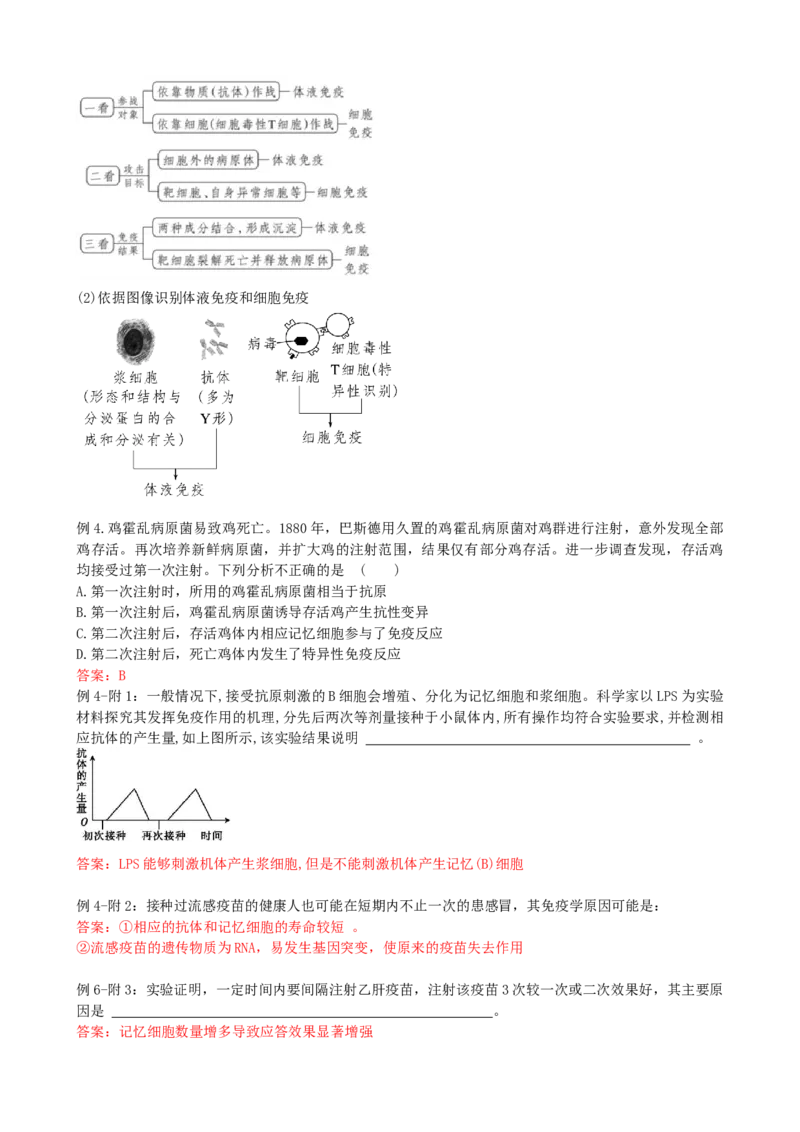 第29讲免疫调节（讲义）（教师版）_2024年新高考资料_1.2024一轮复习_2024年高考生物一轮复习讲练测（新教材新高考）