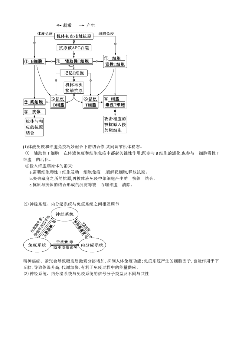 第29讲免疫调节（讲义）（教师版）_2024年新高考资料_1.2024一轮复习_2024年高考生物一轮复习讲练测（新教材新高考）