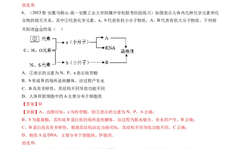 第2讲细胞中的元素和化合物（练习）（解析版）_2024年新高考资料_1.2024一轮复习_2024年高考生物一轮复习讲练测（新教材新高考）