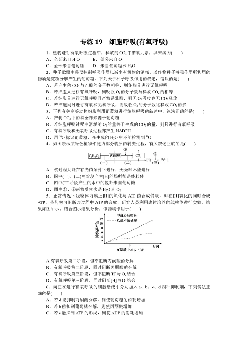 专练19　细胞呼吸(有氧呼吸)_通用版（老高考）复习资料_2023年复习资料_专项复习_2023《微专题&middot;小练习》&middot;生物