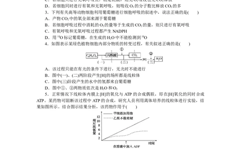 专练19　细胞呼吸(有氧呼吸)_通用版（老高考）复习资料_2023年复习资料_专项复习_2023《微专题&middot;小练习》&middot;生物