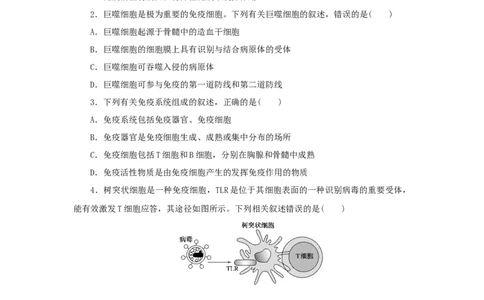 2023版新教材高考生物微专题小练习专练73免疫系统的组成和功能202208091243_通用版（老高考）复习资料_2023年复习资料_一轮复习_2023届高考生物一轮微专题100练