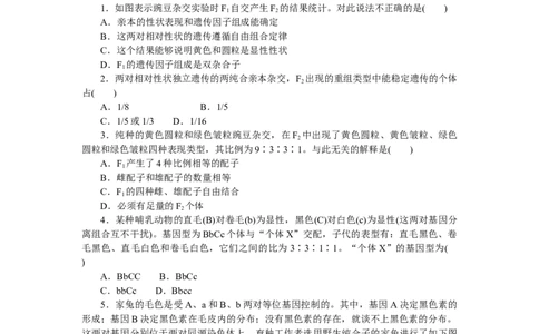 专练38　两对相对性状的杂交实验_新高考复习资料_2023年新高考复习资料_专项复习_2023《微专题&middot;小练习》&middot;生物&middot;新教材&middot;XL-7