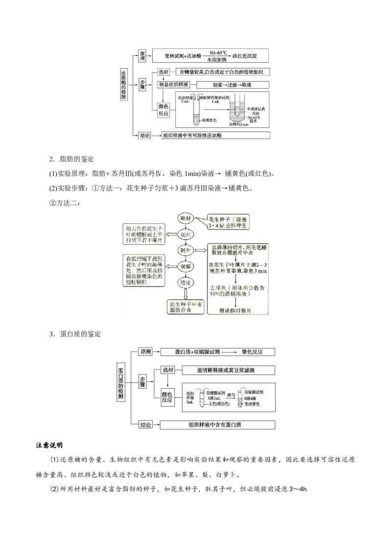 GKSW150_第2讲组成细胞的元素及无机化合物-备战2022年高考生物一轮复习精品讲义（人教版）(解析版)_新高考复习资料_2022年新高考复习资料_备战2022新高考生物一轮复习精品讲义（人教版）