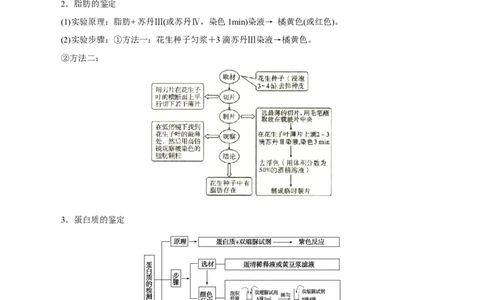 GKSW150_第2讲组成细胞的元素及无机化合物-备战2022年高考生物一轮复习精品讲义（人教版）(解析版)_新高考复习资料_2022年新高考复习资料_备战2022新高考生物一轮复习精品讲义（人教版）