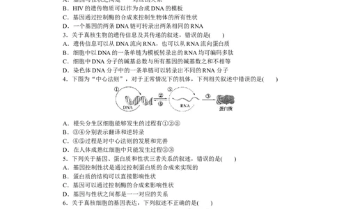 专练45　基因对性状的控制_通用版（老高考）复习资料_2023年复习资料_专项复习_2023《微专题&middot;小练习》&middot;生物