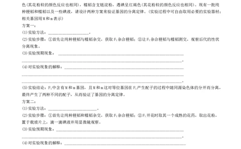 第16讲基因的分离定律（练习）（解析版）_2024年新高考资料_1.2024一轮复习_2024年高考生物一轮复习讲练测（新教材新高考）