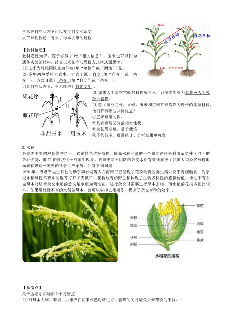第15讲遗传的基础知识（讲义）（学生版）_2024年新高考资料_1.2024一轮复习_2024年高考生物一轮复习讲练测（新教材新高考）