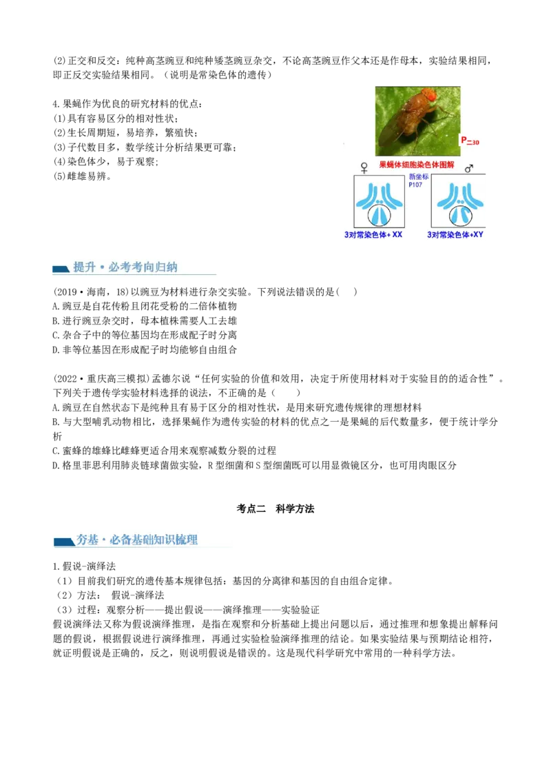 第15讲遗传的基础知识（讲义）（学生版）_2024年新高考资料_1.2024一轮复习_2024年高考生物一轮复习讲练测（新教材新高考）
