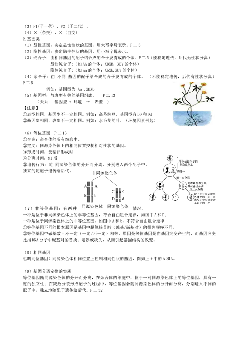 第15讲遗传的基础知识（讲义）（学生版）_2024年新高考资料_1.2024一轮复习_2024年高考生物一轮复习讲练测（新教材新高考）