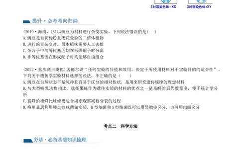 第15讲遗传的基础知识（讲义）（学生版）_2024年新高考资料_1.2024一轮复习_2024年高考生物一轮复习讲练测（新教材新高考）