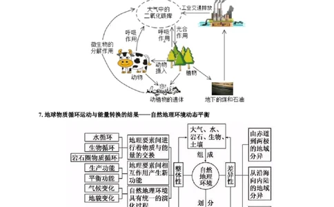 热点01加州山火、南大洋疯狂吸碳、千龟朝阳&hellip;&hellip;地球圈层系统物质循环与能量转换（解析版）(1)_2025年新高考资料_二轮复习_重点&middot;难点&middot;热点专练（分地区）_上海专用