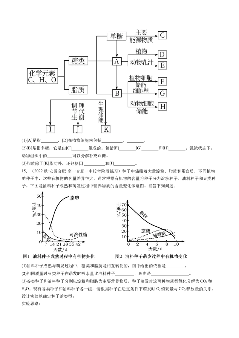第3讲糖类和脂质（练习）（原卷版）_2024年新高考资料_1.2024一轮复习_2024年高考生物一轮复习讲练测（新教材新高考）