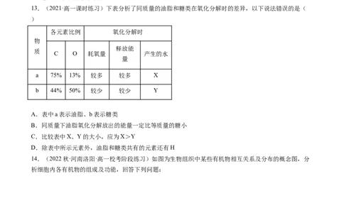 第3讲糖类和脂质（练习）（原卷版）_2024年新高考资料_1.2024一轮复习_2024年高考生物一轮复习讲练测（新教材新高考）