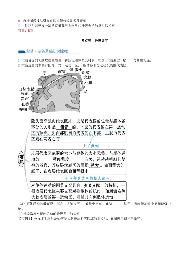 第26.1讲神经调节的结构基础、基本方式、分级调节、高级功能（讲义）（教师版）_2024年新高考资料_1.2024一轮复习_2024年高考生物一轮复习讲练测（新教材新高考）