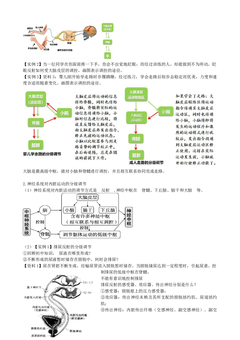 第26.1讲神经调节的结构基础、基本方式、分级调节、高级功能（讲义）（教师版）_2024年新高考资料_1.2024一轮复习_2024年高考生物一轮复习讲练测（新教材新高考）
