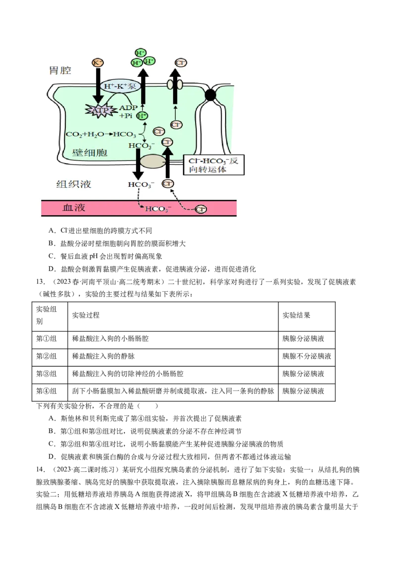 第27讲体液调节（练习）（原卷版）_2024年新高考资料_1.2024一轮复习_2024年高考生物一轮复习讲练测（新教材新高考）