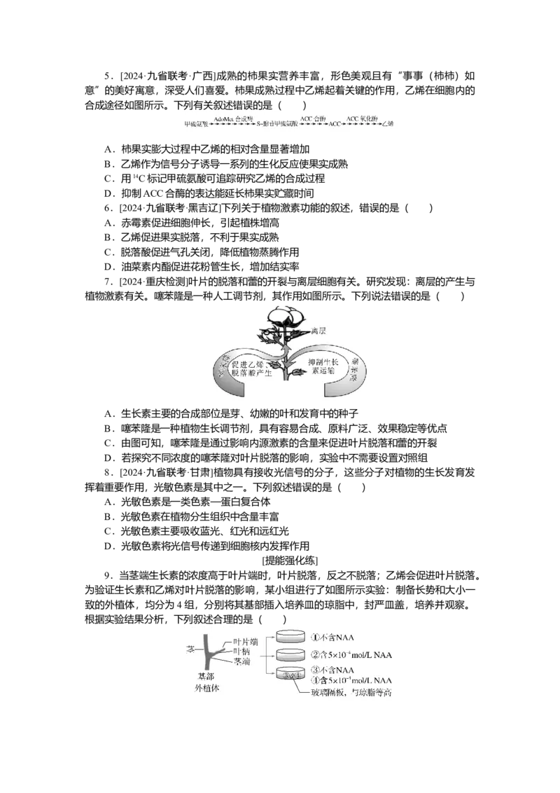 2025届高中生物学一轮复习检测案31　植物的激素调节（一）（含解析）_2025年新高考资料_一轮复习_2025届高中生物学一轮复习分层复习检测(含解析)