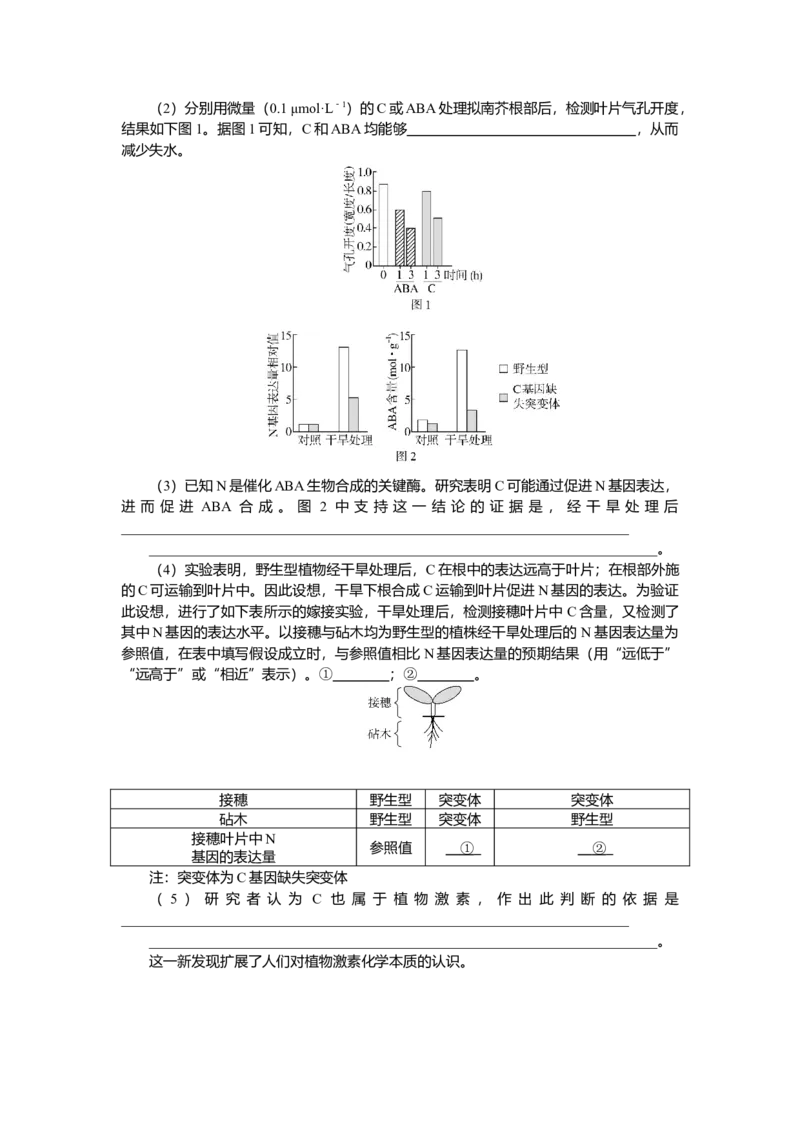 2025届高中生物学一轮复习检测案31　植物的激素调节（一）（含解析）_2025年新高考资料_一轮复习_2025届高中生物学一轮复习分层复习检测(含解析)