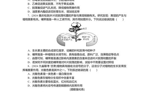 2025届高中生物学一轮复习检测案31　植物的激素调节（一）（含解析）_2025年新高考资料_一轮复习_2025届高中生物学一轮复习分层复习检测(含解析)