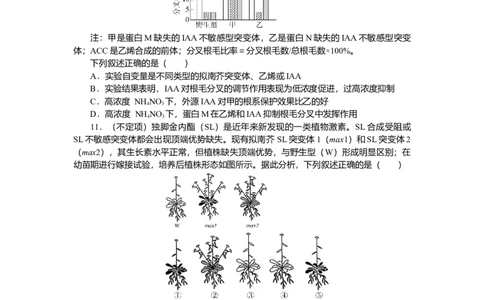 2025届高中生物学一轮复习检测案31　植物的激素调节（一）（含解析）_2025年新高考资料_一轮复习_2025届高中生物学一轮复习分层复习检测(含解析)