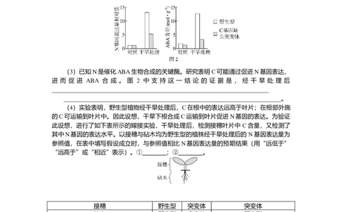 2025届高中生物学一轮复习检测案31　植物的激素调节（一）（含解析）_2025年新高考资料_一轮复习_2025届高中生物学一轮复习分层复习检测(含解析)