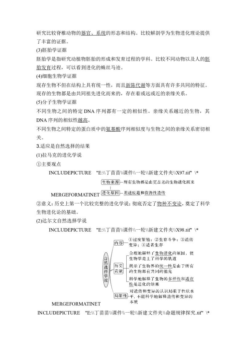 第21讲生物的进化_2024年新高考资料_1.2024一轮复习_2024年高考生物一轮复习讲义（新人教版）_另附1套Word版题库_必修2_第七单元生物的变异和进化