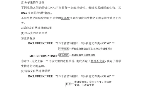 第21讲生物的进化_2024年新高考资料_1.2024一轮复习_2024年高考生物一轮复习讲义（新人教版）_另附1套Word版题库_必修2_第七单元生物的变异和进化