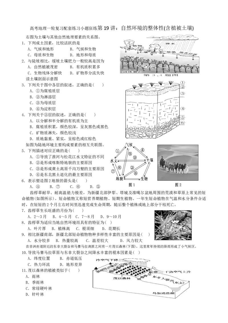 第19讲：自然环境的整体性(含植被土壤)（答案在最后一行，无解析）_通用版（老高考）复习资料_2024年复习资料_2024届高考地理一轮复习配套练习小题狂练（答案在最后一行，无解析）