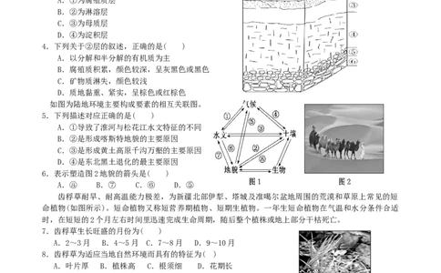 第19讲：自然环境的整体性(含植被土壤)（答案在最后一行，无解析）_通用版（老高考）复习资料_2024年复习资料_2024届高考地理一轮复习配套练习小题狂练（答案在最后一行，无解析）