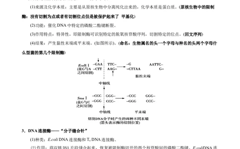 GKSW150_第27讲基因工程-备战2022年高考生物一轮复习精品讲义（人教版）(原卷版)_新高考复习资料_2022年新高考复习资料_备战2022新高考生物一轮复习精品讲义（人教版）