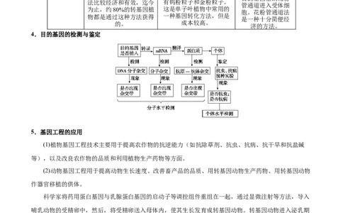 GKSW150_第27讲基因工程-备战2022年高考生物一轮复习精品讲义（人教版）(原卷版)_新高考复习资料_2022年新高考复习资料_备战2022新高考生物一轮复习精品讲义（人教版）