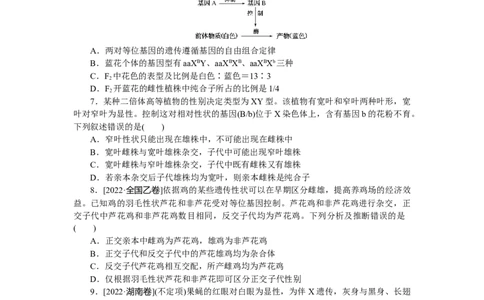 专练44　伴性遗传_新高考复习资料_2023年新高考复习资料_专项复习_2023《微专题&middot;小练习》&middot;生物&middot;新教材&middot;XL-7