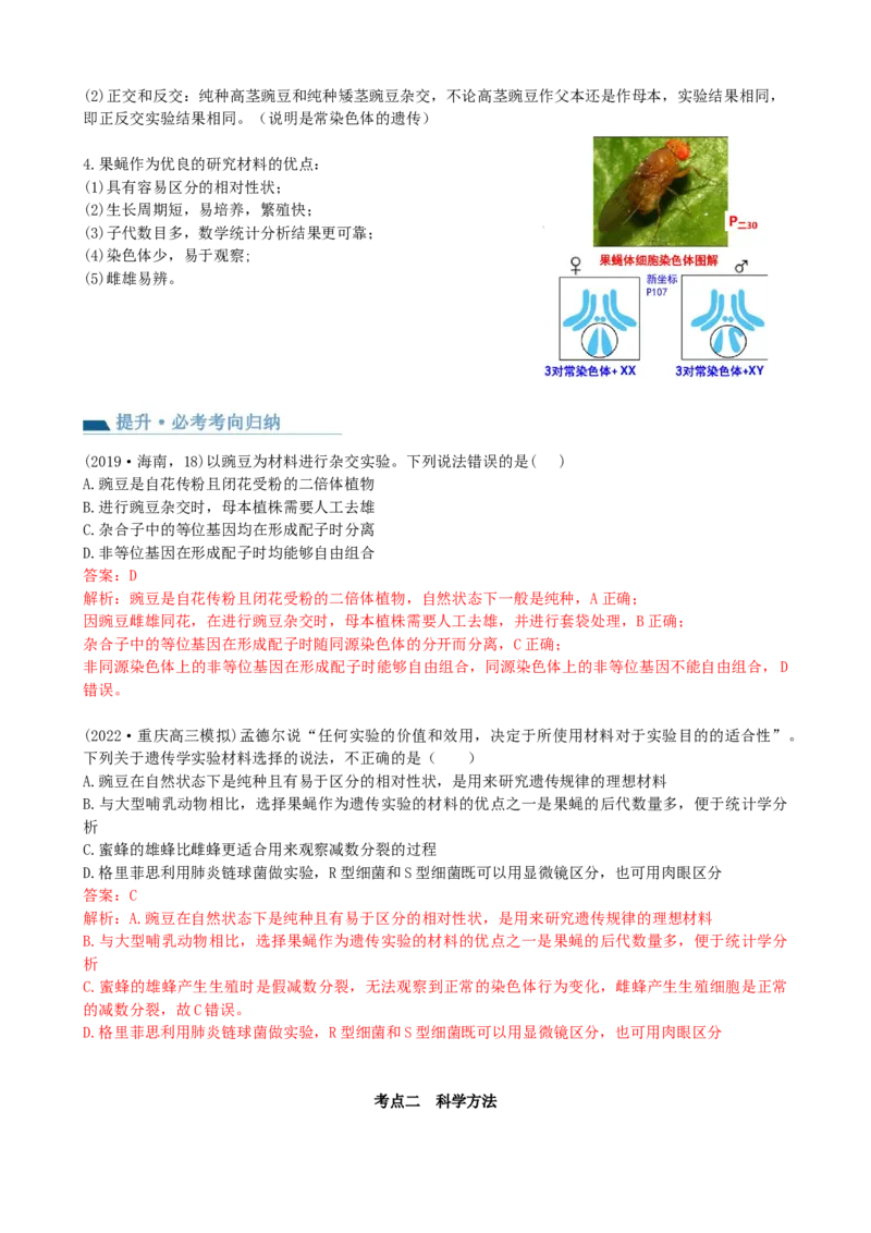 第15讲遗传的基础知识（讲义）（教师版）_2024年新高考资料_1.2024一轮复习_2024年高考生物一轮复习讲练测（新教材新高考）