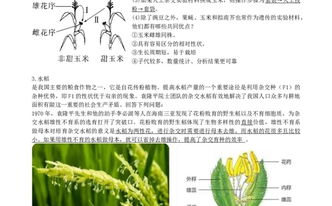 第15讲遗传的基础知识（讲义）（教师版）_2024年新高考资料_1.2024一轮复习_2024年高考生物一轮复习讲练测（新教材新高考）
