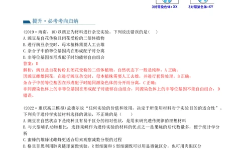 第15讲遗传的基础知识（讲义）（教师版）_2024年新高考资料_1.2024一轮复习_2024年高考生物一轮复习讲练测（新教材新高考）