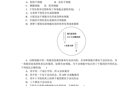 专练33　细胞的分化_新高考复习资料_2023年新高考复习资料_专项复习_2023《微专题&middot;小练习》&middot;生物&middot;新教材&middot;XL-7