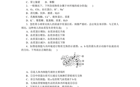 专练63　细胞生活的环境_新高考复习资料_2023年新高考复习资料_专项复习_2023《微专题&middot;小练习》&middot;生物&middot;新教材&middot;XL-7