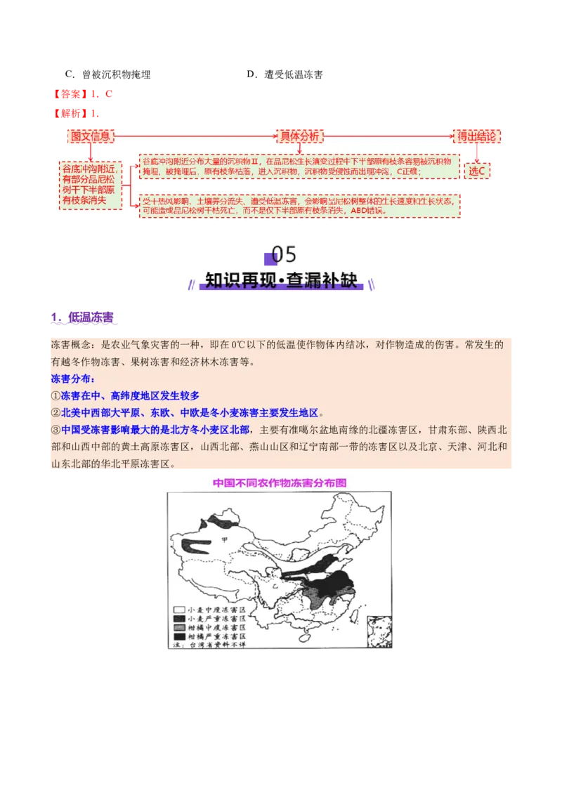 微专题冻害（寒潮、冻雨等）（讲义）（解析版）_2025年新高考资料_二轮复习_01高考语文等多个文件_上好课2025年高考地理二轮复习讲练测（新高考通用）_第一部分专题突破