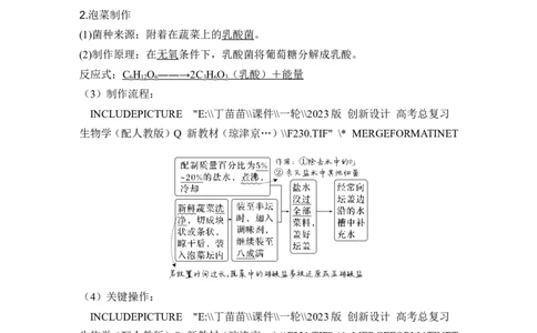 第32讲传统发酵技术的应用与发酵工程_2024年新高考资料_1.2024一轮复习_2024年高考生物一轮复习讲义（新人教版）_另附1套Word版题库_选择性必修3_第十单元生物技术与工程