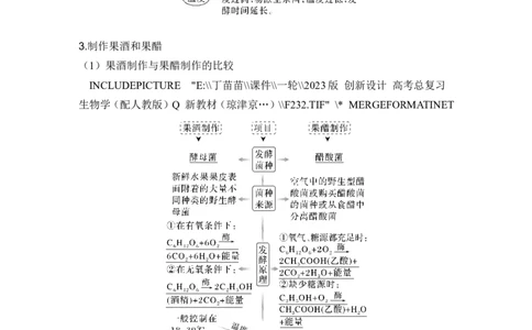 第32讲传统发酵技术的应用与发酵工程_2024年新高考资料_1.2024一轮复习_2024年高考生物一轮复习讲义（新人教版）_另附1套Word版题库_选择性必修3_第十单元生物技术与工程