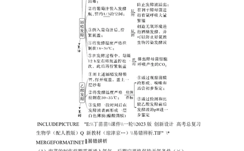 第32讲传统发酵技术的应用与发酵工程_2024年新高考资料_1.2024一轮复习_2024年高考生物一轮复习讲义（新人教版）_另附1套Word版题库_选择性必修3_第十单元生物技术与工程