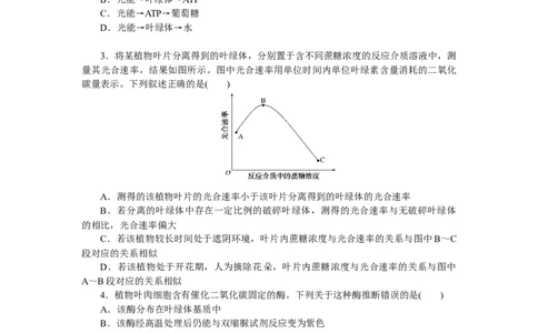 专练25　光合作用的过程_通用版（老高考）复习资料_2023年复习资料_专项复习_2023《微专题&middot;小练习》&middot;生物