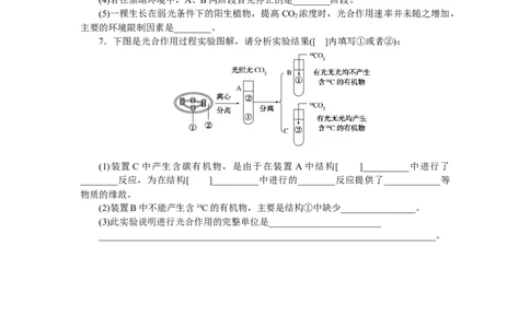 专练25　光合作用的过程_通用版（老高考）复习资料_2023年复习资料_专项复习_2023《微专题&middot;小练习》&middot;生物