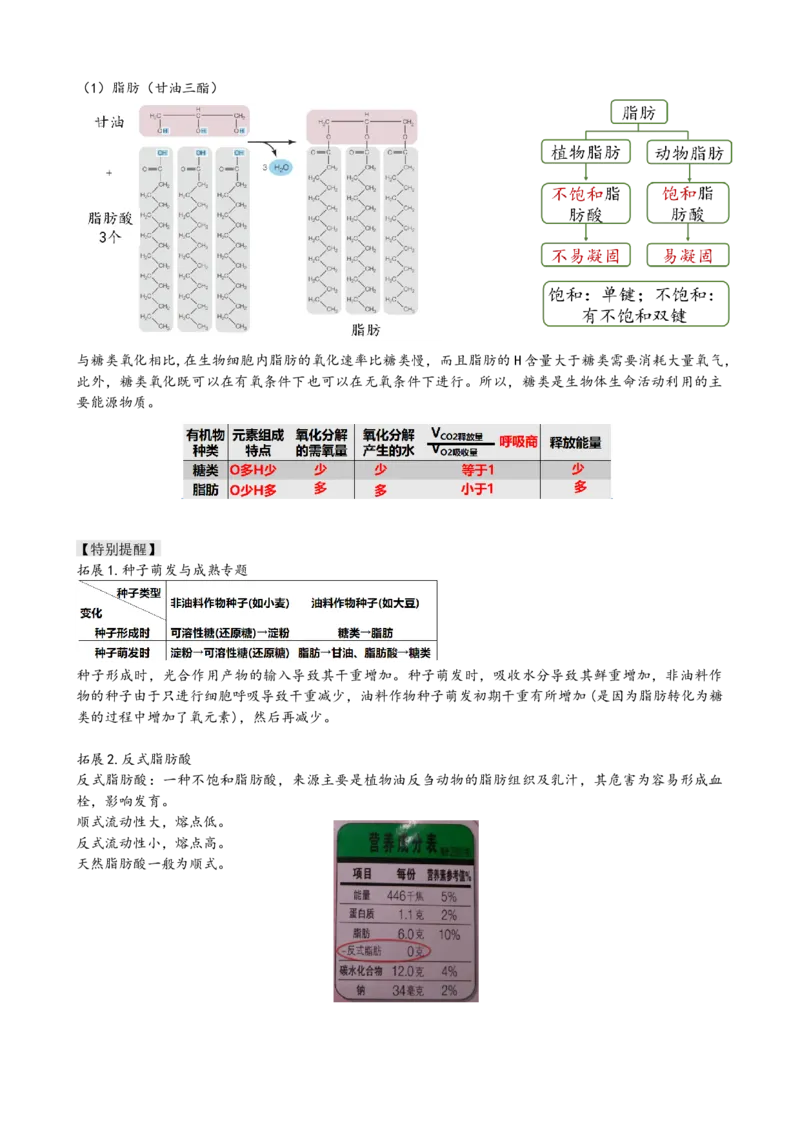 第3讲糖类和脂质（讲义）（学生版）_2024年新高考资料_1.2024一轮复习_2024年高考生物一轮复习讲练测（新教材新高考）